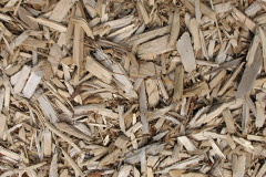 biomass boilers Tancred